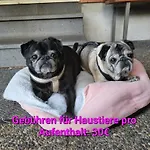 Doppelhaushaelfte Scheunenzauber Becheln