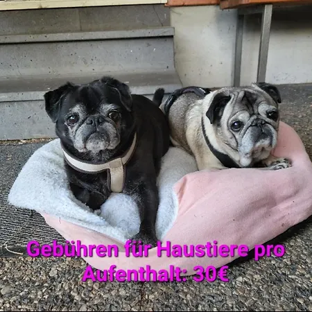 Doppelhaushaelfte Scheunenzauber Becheln