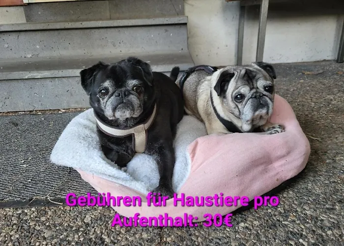 Doppelhaushaelfte Scheunenzauber Becheln